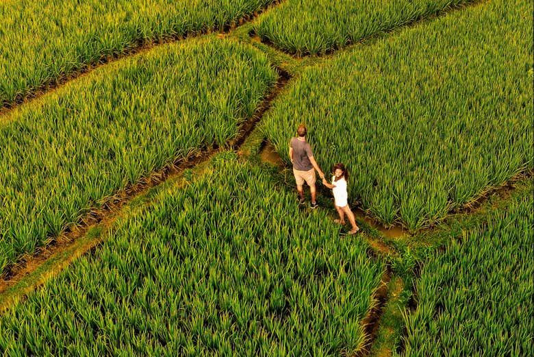 Profitez de la visite !