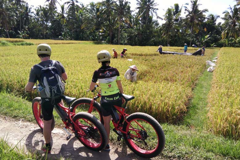 Electric Bike Tour of Bali Rice Terraces