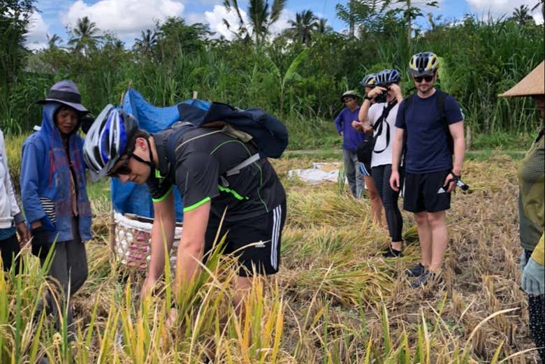 Following the guide's explanations