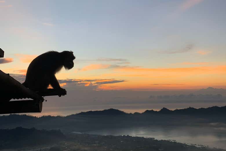 La naturaleza que encontraremos en el trekking