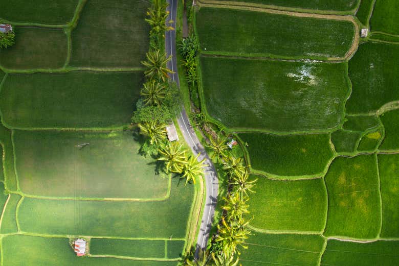 Bird's eye view of Bali