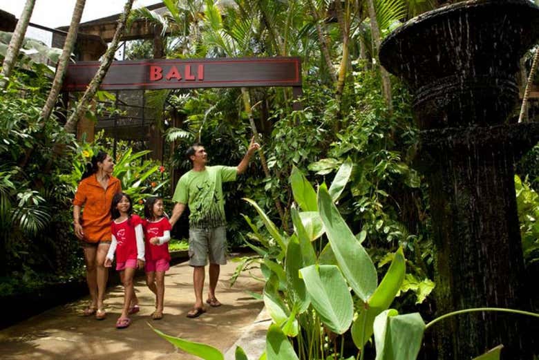 Make the most of your time in Bali!