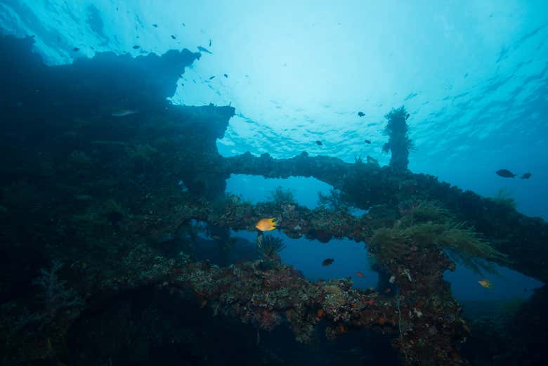 Épave mythique de l'U.S.A.T Liberty