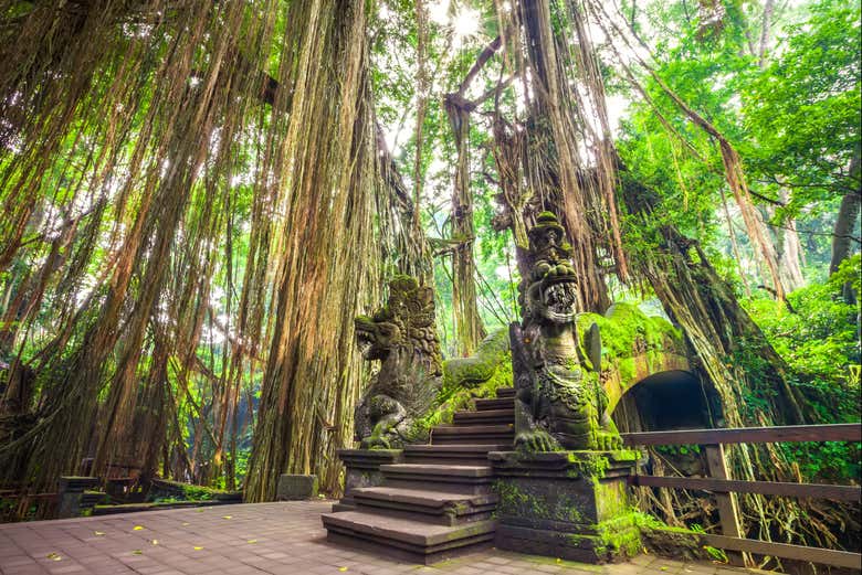 L'ingresso del Santuario della Foresta Sacra delle Scimmie