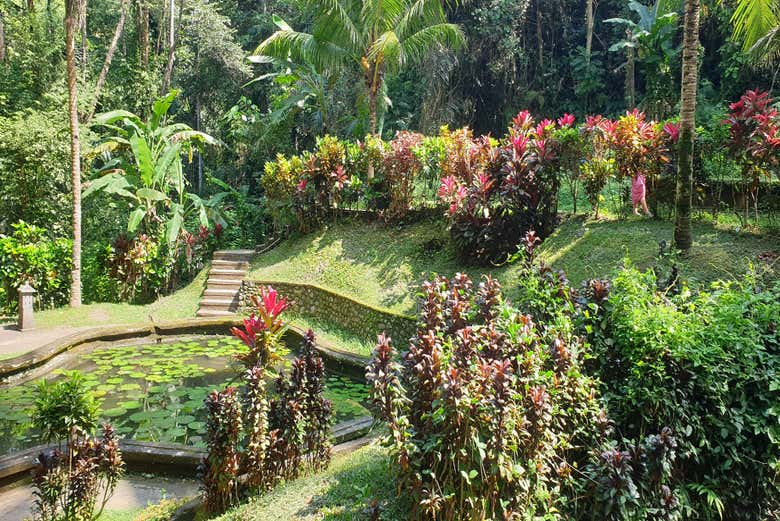 Jardins da Caverna do Elefante
