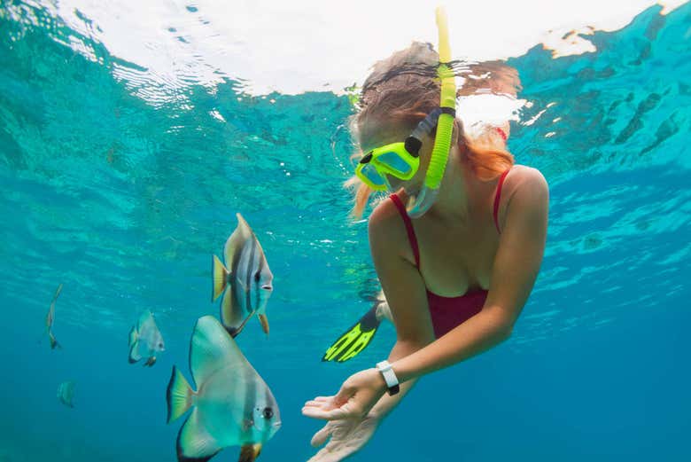 Peces en las aguas de Nusa Penida