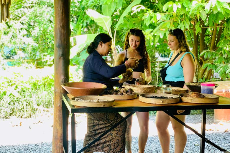 Dans la plantation de café