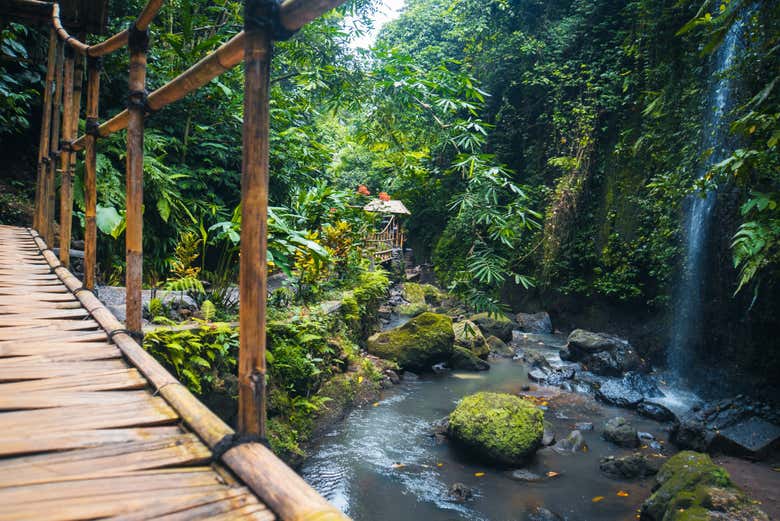 Un puente de bambú en Tibumana