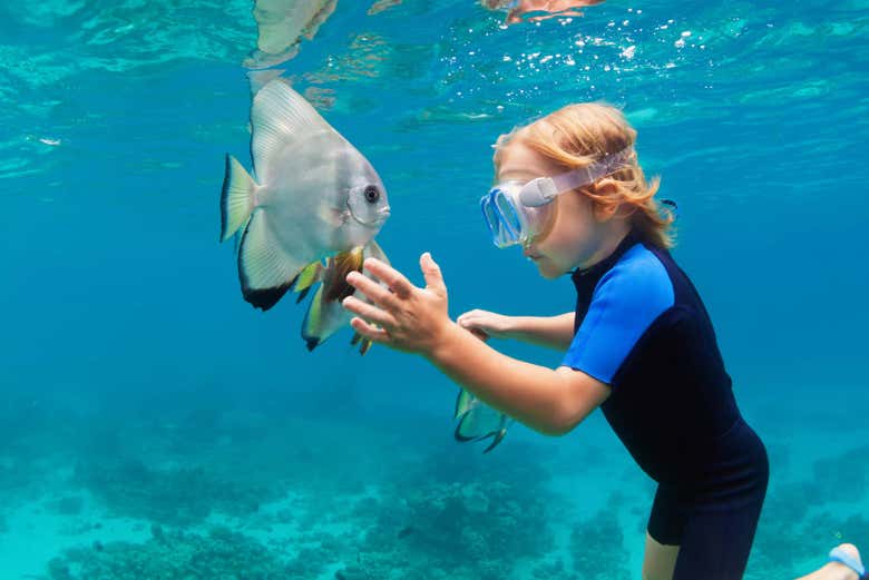 Un niño practicando snorkel