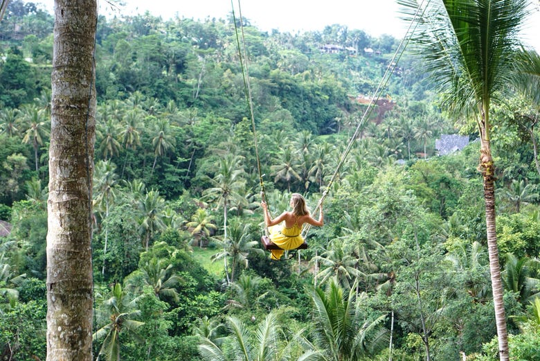 La balançoire dans la jungle