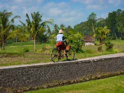 En bici por los arrozales
