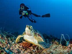 Plongée sous-marine aux îles Gili