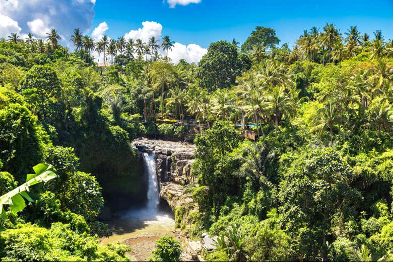 Denso bosque tropical que rodea la cascada Tegenungan