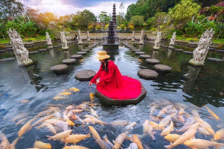 Una turista dà da mangiare ai pesci di Tirta Gangga