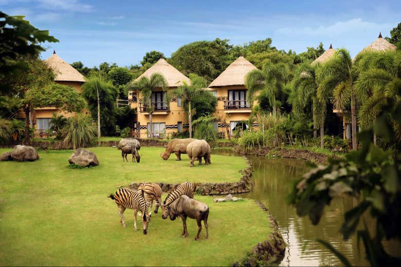 Take a Safari in Bali