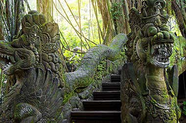Monkey Forest