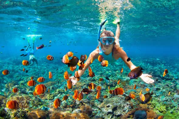 Snorkelling in Bali