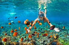 Snorkel en Bali
