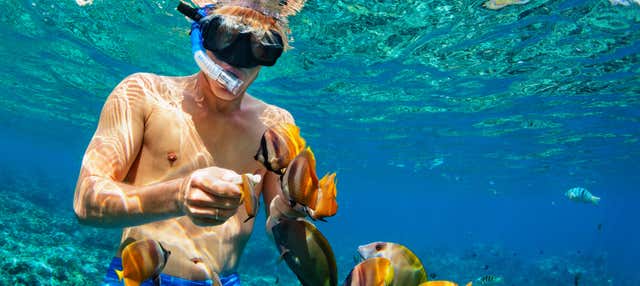 Nusa Penida & Nusa Lembongan Snorkeling