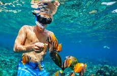 Nusa Penida & Nusa Lembongan Snorkeling