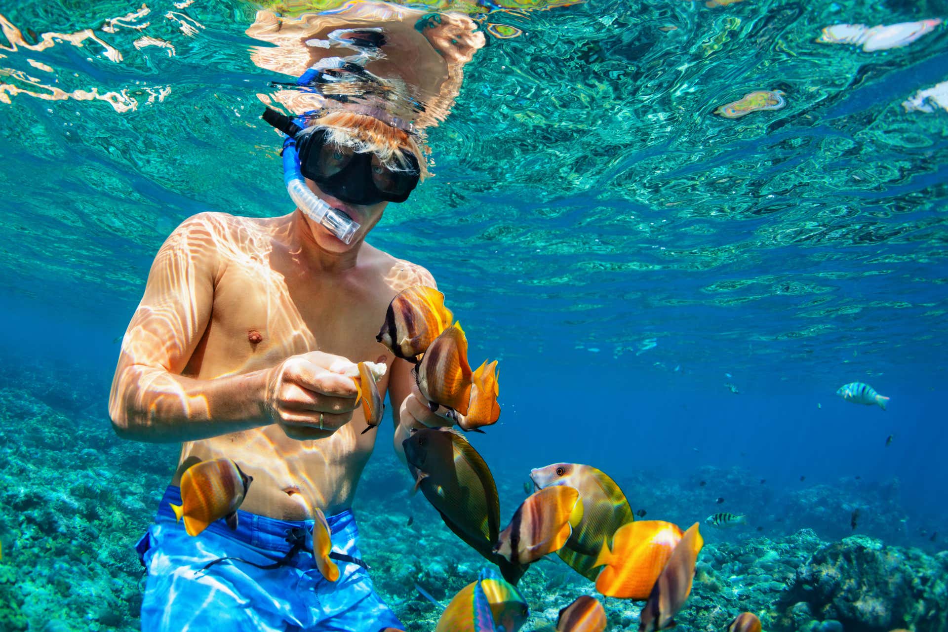 Snorkel em Nusa Penida e Nusa Lembongan