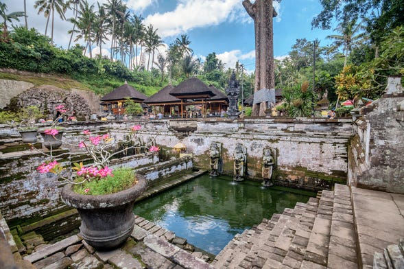 Tour privado por Ubud, Goa Gajah e centro de Bali