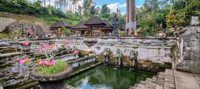 Tour privado por Ubud, Goa Gajah y centro de Bali