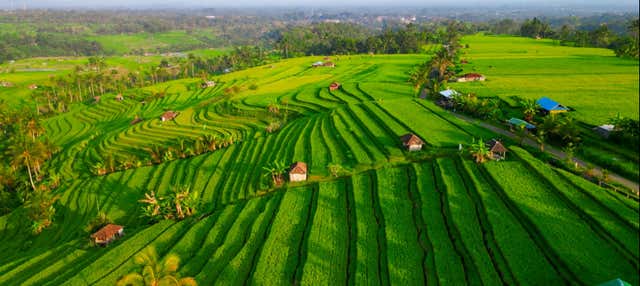 Une journée chez l'habitant à Bali en petit groupe