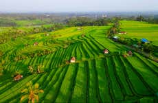 Une journée chez l'habitant à Bali en petit groupe