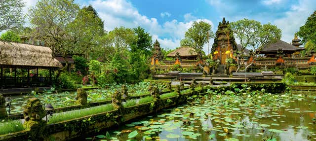 Visita guiada por Ubud