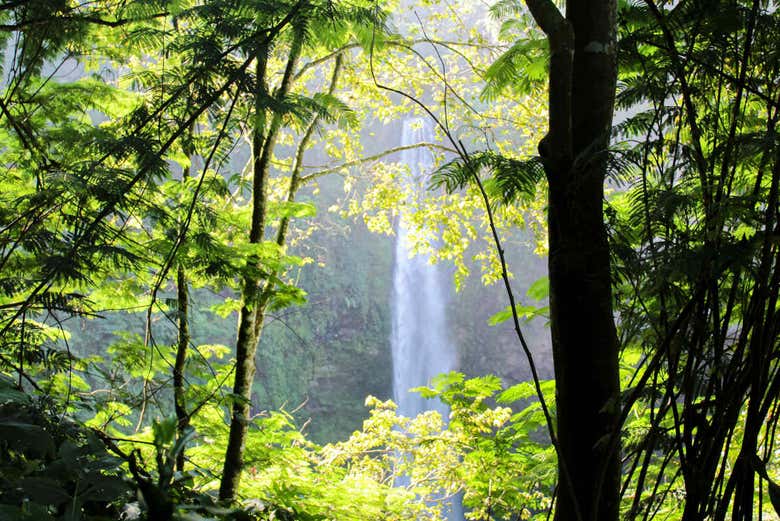 Cascata Cimahi