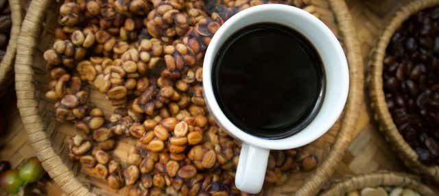 Excursión privada al Tangkuban Perahu + Centro de café Kopi Luwak