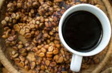 Excursión privada al Tangkuban Perahu + Centro de café Kopi Luwak