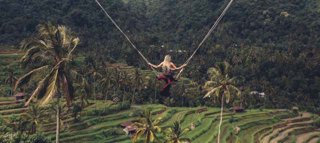 Bali Swing Park