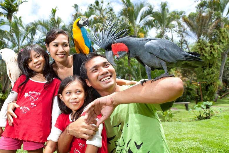 Disfrutando del parque en familia