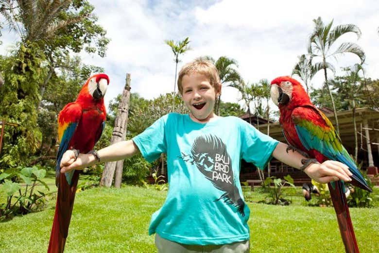 Jugando con los loros