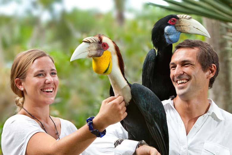 Disfrutando de un día en rodeados de aves
