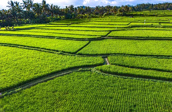 Gianyar