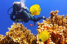 Bautismo de buceo en Gili Trawangan