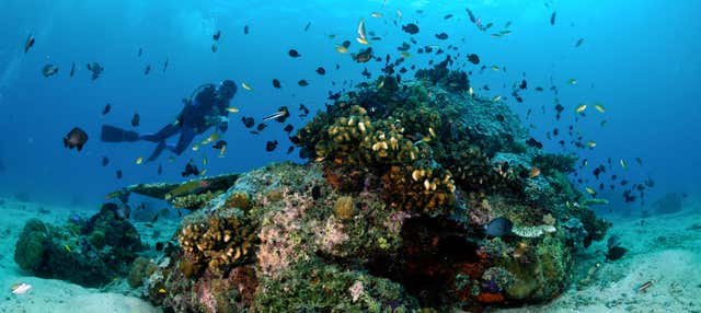 Curso de buceo PADI Open Water