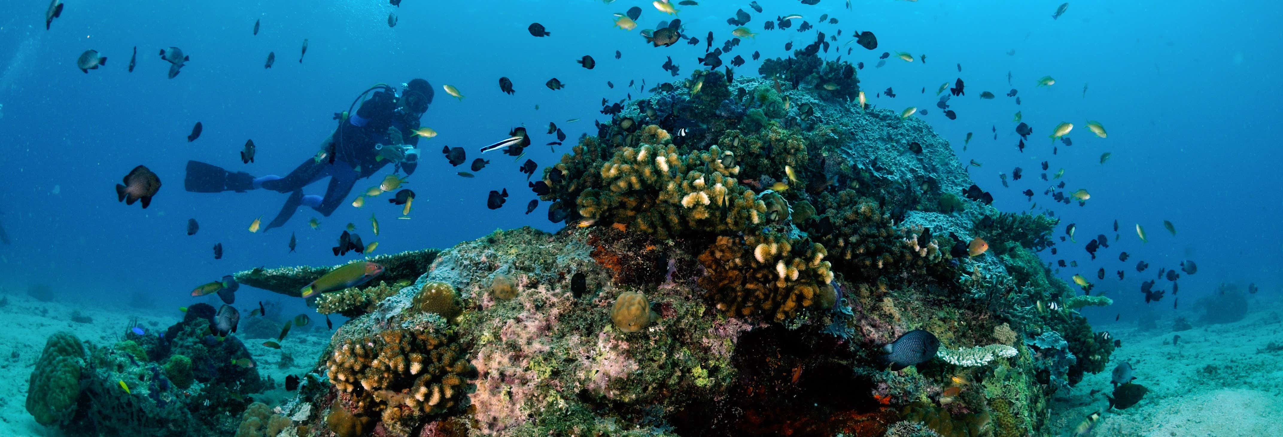 Buceo en Gili Trawangan