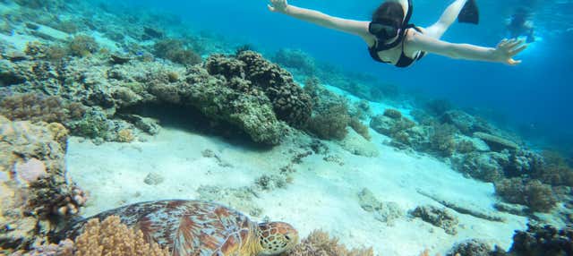 Snorkel en Gili Meno