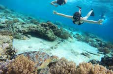Snorkeling a Gili Meno