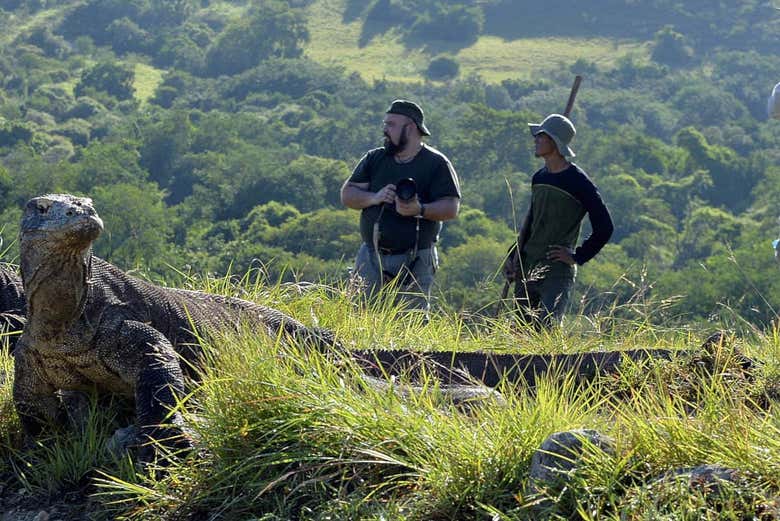 Photographing the Komodo Dragons on Rinca
