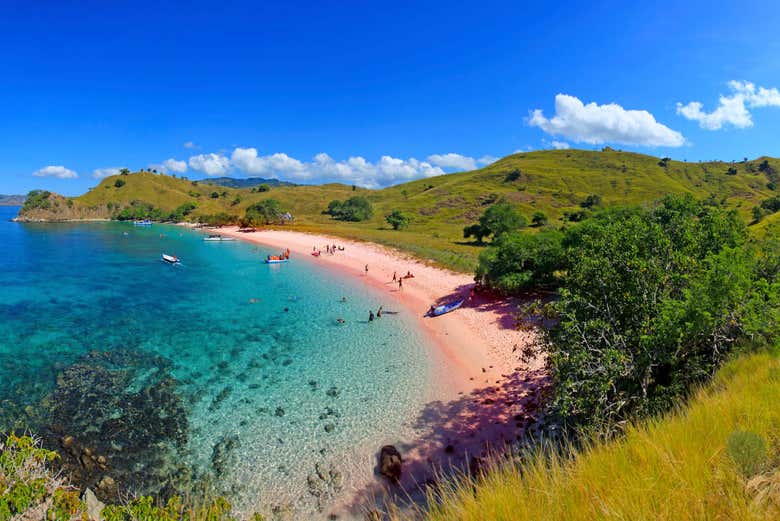 Pink Beach en la isla de Komodo