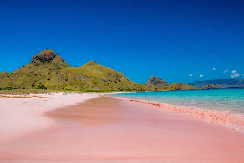 Pink Beach on Komodo