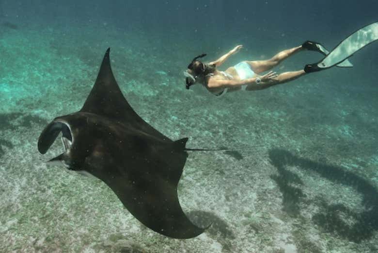 Manta Point