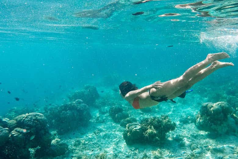 Snorkelling in Komodo
