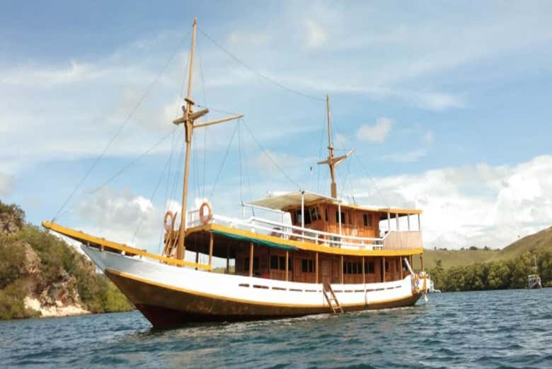 Barco de madera