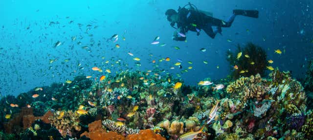 Immersione per principianti a Lombok